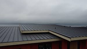 Best Green or Eco-Friendly Roofing Solutions  in Del Rio, TX